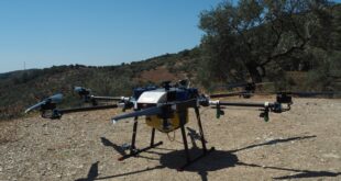 e – Δακοκτονία : Το μέλλον της Δακοκτονίας με χρήση drones