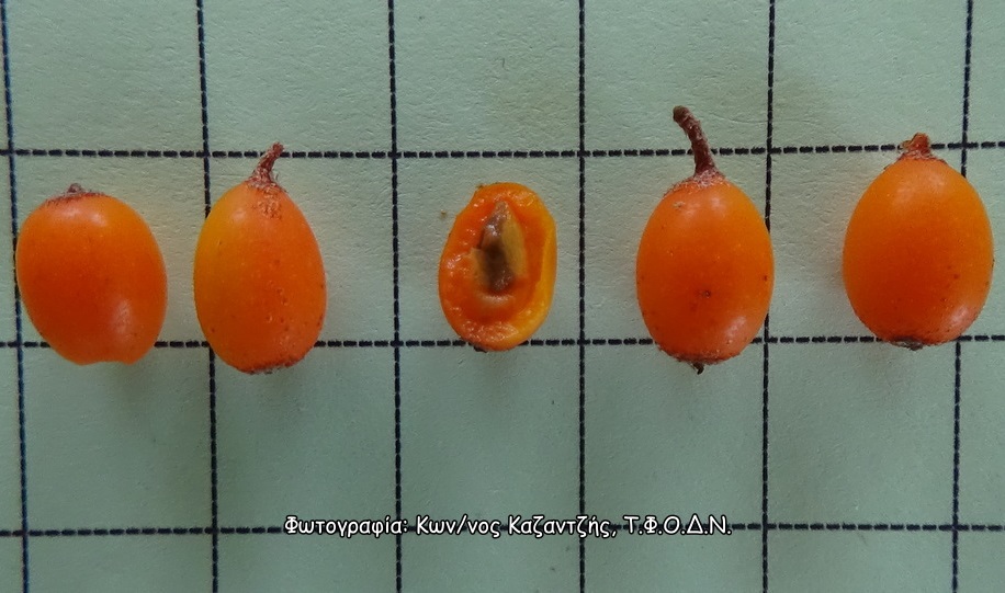 Φωτογραφία 2