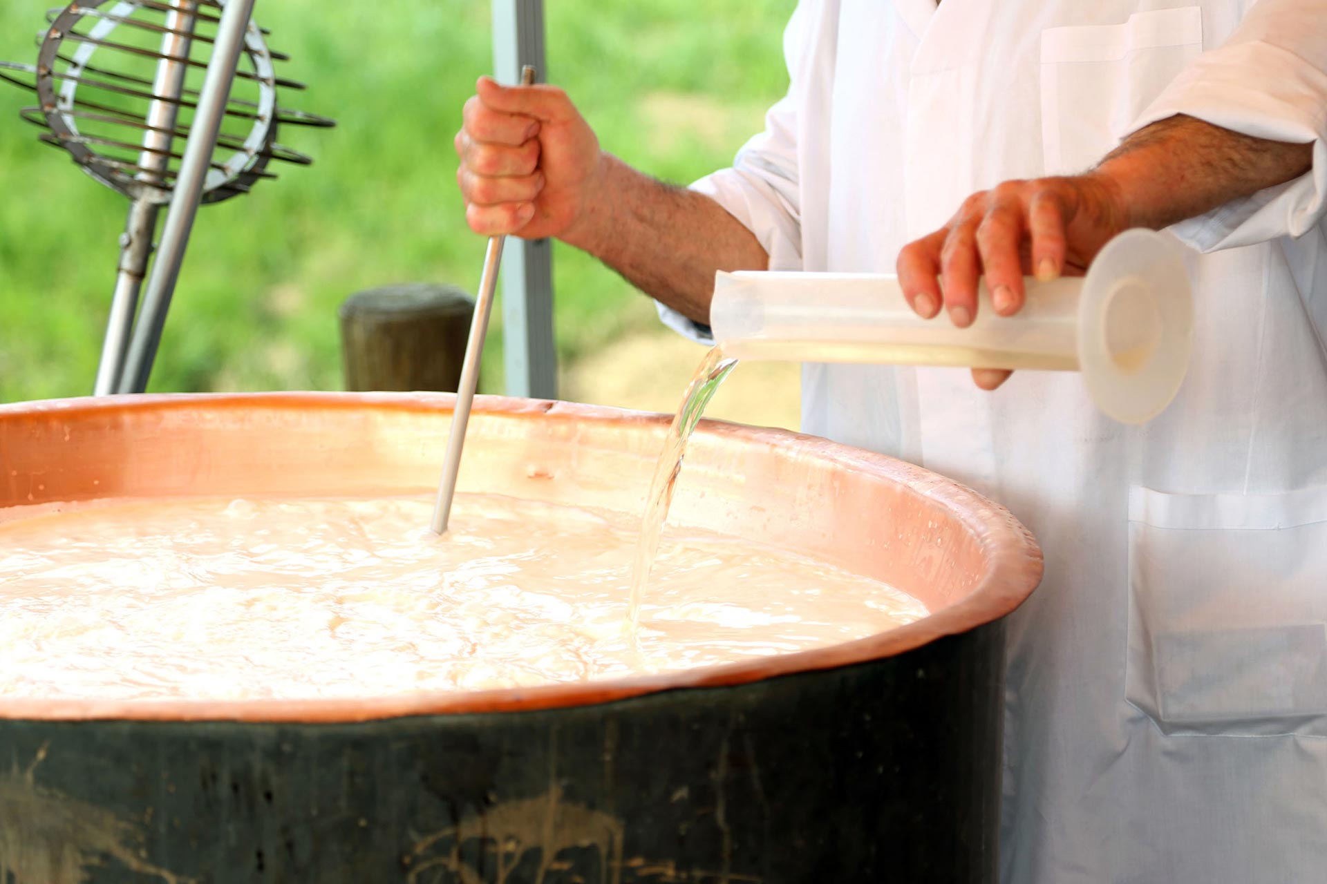 Όλα όσα θα θέλατε να ξέρετε για την πυτιά μικροβιακής προέλευσης