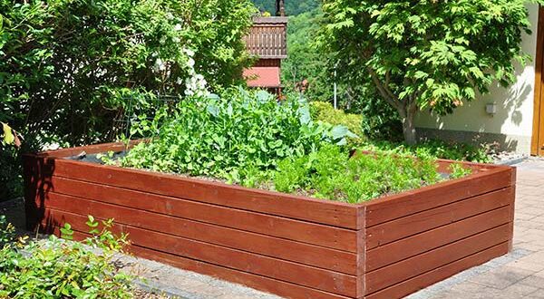 Φύτευση λαχανικών σε πλαίσια