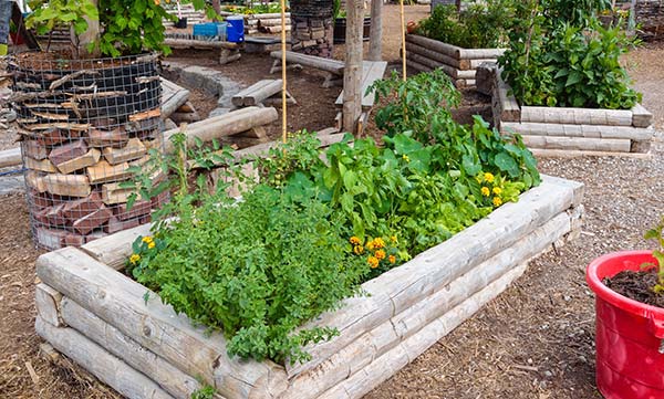 λαχανικά σε πλαίσια