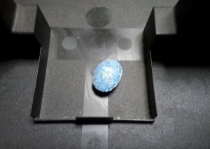 Αιμοπηκτική παστίλια για τρωκτικά μέσα σε δολωματικό σταθμό