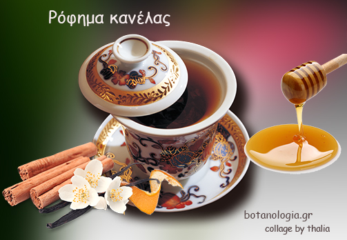 Κανέλα-και-κανελάδα-–-ένα-θεραπευτικό-και-θερμαντικό-ρόφημα!