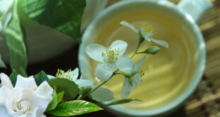 Γιασεμί,-το-πολύτιμο-λουλούδι-με-τις-αντιβακτηριακές,-αντιφλεγμονώδεις-και-δερμοαναπλαστικές-ιδιότητες.