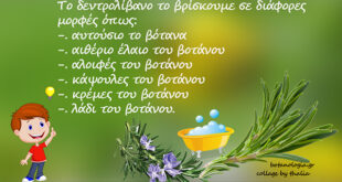 Για-τα-πόδια-μας-–-ποδόλουτρο-με-έγχυμα-δεντρολίβανου
