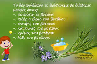 Για-τα-πόδια-μας-–-ποδόλουτρο-με-έγχυμα-δεντρολίβανου