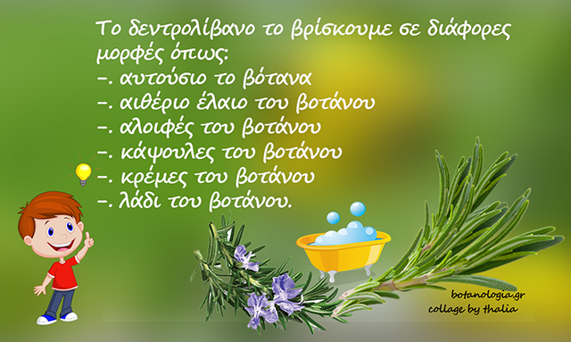 Για τα πόδια μας – ποδόλουτρο με έγχυμα δεντρολίβανου