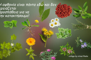 Βότανα-που-μπορούμε-να-συλλέξουμε-στη-χώρα-μας