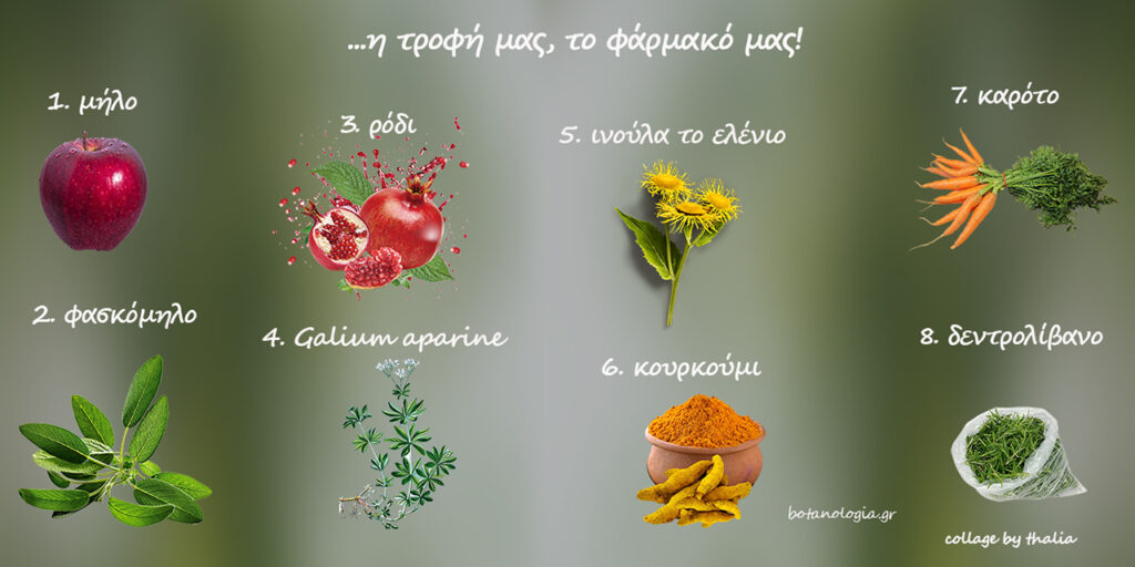 Κάθε ένας από εμάς μπορεί να θεωρεί τον εαυτό του ευχαριστημένο, όταν αυτό που είναι η τροφή του είναι επίσης και το φάρμακό του.