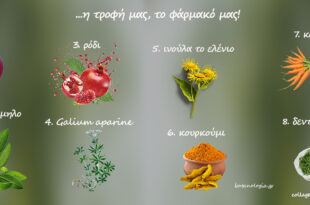 Κάθε-ένας-από-εμάς-μπορεί-να-θεωρεί-τον-εαυτό-του-ευχαριστημένο,-όταν-αυτό-που-είναι-η-τροφή-του-είναι-επίσης-και-το-φάρμακό-του.