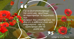 Σπονδή-στα-κόκκινα!