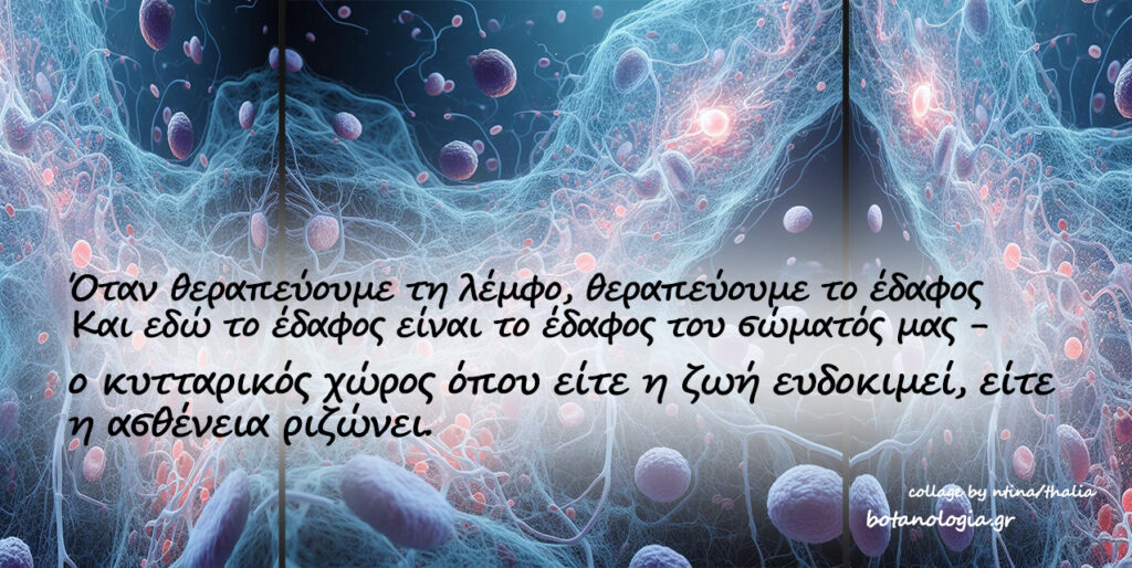 Πως να βοηθάμε το λεμφικό μας σύστημα στο πολύτιμό του έργο!