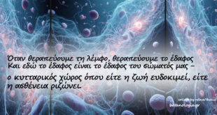 Πως-να-βοηθάμε-το-λεμφικό-μας-σύστημα-στο-πολύτιμό-του-έργο!