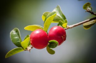 όταν-με-ρώτησαν-–-και-με-την-πείνα-μας-τι-γίνεται-ντίνα;-αφουγκραζόμενη-προσωπικά-βιώματα-είπα…