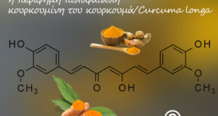 Διαιτητικές-πολυφαινόλες-–-οι-ισχυρές-θεραπευτικές-τους-ιδιότητες-στη-θεραπεία-του-καρκίνου