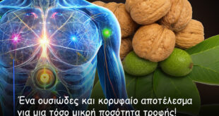 Τα-πολύτιμα-καρύδια-–-Μια-χούφτα-ξηροί-καρποί-την-ημέρα-μειώνει-τον-κίνδυνο-εμφάνισης-μιας-ευρείας-γκάμας-ασθενειών