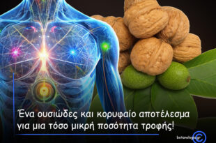 Τα-πολύτιμα-καρύδια-–-Μια-χούφτα-ξηροί-καρποί-την-ημέρα-μειώνει-τον-κίνδυνο-εμφάνισης-μιας-ευρείας-γκάμας-ασθενειών