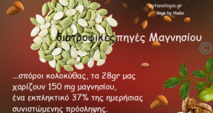 Το-μαγνήσιο-ξυπνά-κρυμμένα-βακτήρια-του-εντερικού-συστήματος-που-προστατεύουν-από-τον-καρκίνο-του-παχέος-εντέρου!