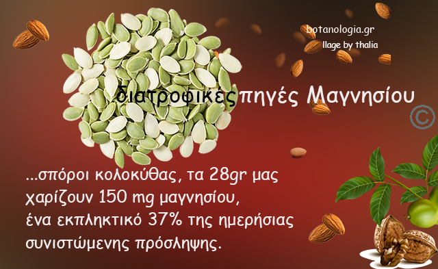 Το μαγνήσιο ξυπνά κρυμμένα βακτήρια του εντερικού συστήματος που προστατεύουν από τον καρκίνο του παχέος εντέρου!