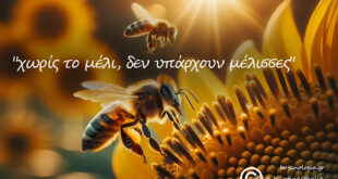 “χωρίς-το-μέλι,-δεν-υπάρχουν-μέλισσες”