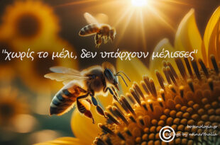 “χωρίς-το-μέλι,-δεν-υπάρχουν-μέλισσες”