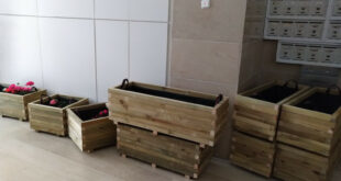 Ανανέωση μεγάλων φυτών σε ρετιρέΥλικά και νέες γλάστρεςΗ διαδικασία βήμα – βήμαΤι υπέροχο αποτέλεσμα