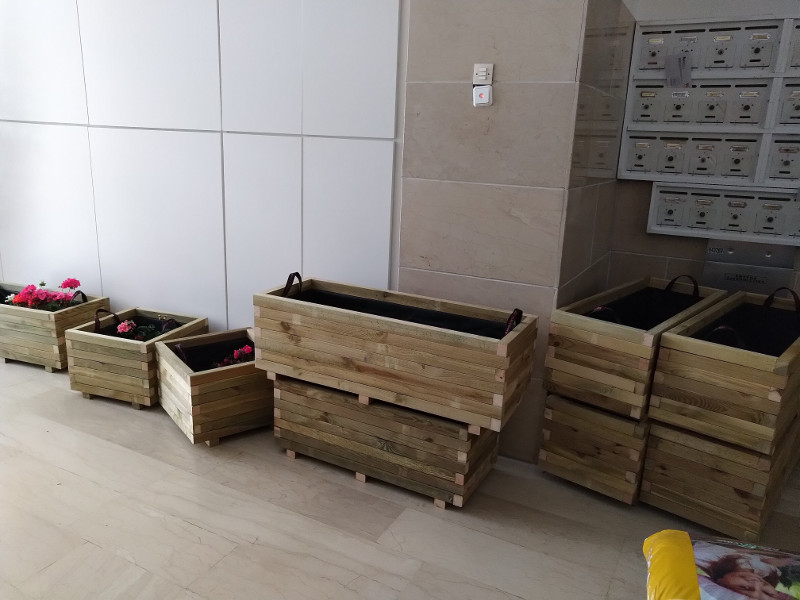 Ανανέωση μεγάλων φυτών σε ρετιρέΥλικά και νέες γλάστρεςΗ διαδικασία βήμα – βήμαΤι υπέροχο αποτέλεσμα