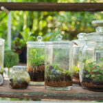 Τι χρειάζεστε για να κατασκευάσετε το δικό σας terrarium