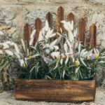 Αποξηραμένα λουλούδια, η νέα τάση στη διακόσμηση