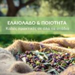 Ελαιόλαδο & ποιότητα: καλές πρακτικές σε όλα τα στάδιαΚάντε εγγραφή στο newsletter