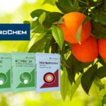 Λίπανση της EuroChem, για άρωμα και γεύση που ξεχωρίζουνΚάντε εγγραφή στο newsletter