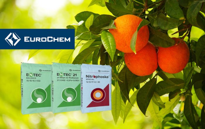 Λίπανση της EuroChem, για άρωμα και γεύση που ξεχωρίζουνΚάντε εγγραφή στο newsletter