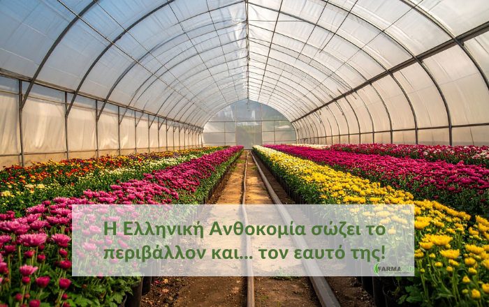 Η Ελληνική Ανθοκομία σώζει το περιβάλλον και… τον εαυτό της!Κάντε εγγραφή στο newsletter