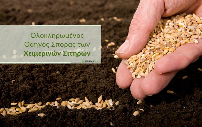 Ολοκληρωμένος Οδηγός Σποράς των Χειμερινών ΣιτηρώνΚάντε εγγραφή στο newsletter
