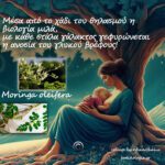 Από το χτες στο σήμερα – γαλακταγωγά βότανα.