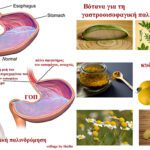 Βότανα για τη γαστροοισοφαγική παλινδρόμηση