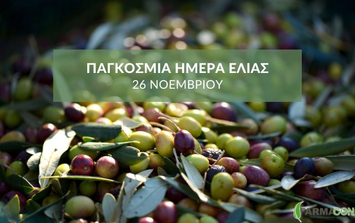 26 Νοεμβρίου: Η Παγκόσμια Ημέρα Ελιάς και η σημασία της για τη γεωργίαΚάντε εγγραφή στο newsletter