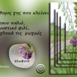 όταν-με-ρώτησαν-–-ντίνα-ποια-επικεφαλίδα-θα-έβαζες-για-το-σύμφυτο;-είπα…