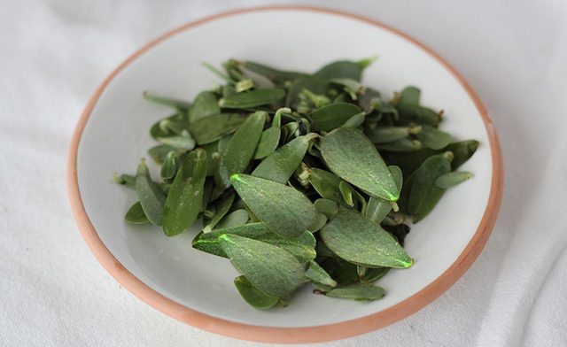 Αντράκλα, το βότανο που έχει χαρακτηριστεί “παγκόσμια πανάκεια”