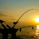 ψάρεμα συρτής βυθού