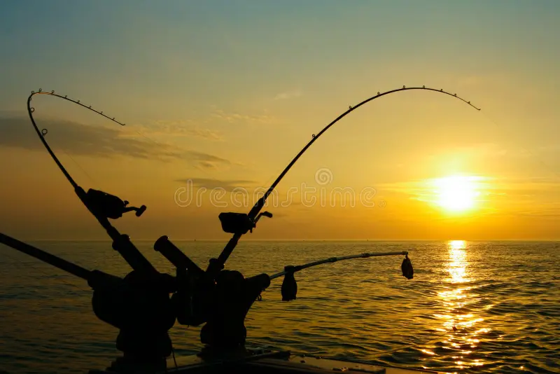 ψάρεμα συρτής βυθού