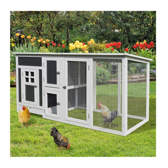 Κατασκευή μικρού κοτετσιού