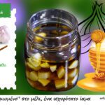 Σκόρδο και μέλι, ένα πανίσχυρο διατροφικό ίαμα – Πως το φτιάχνω