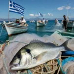 Ποια είναι η καλύτερη εποχή για το ψάρεμα της τσιπούρας