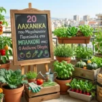 20 Λαχανικά που Μεγαλώνουν Εύκολα στο Μπαλκόνι – Ο Πλήρης Οδηγός Αστικής Καλλιέργειας